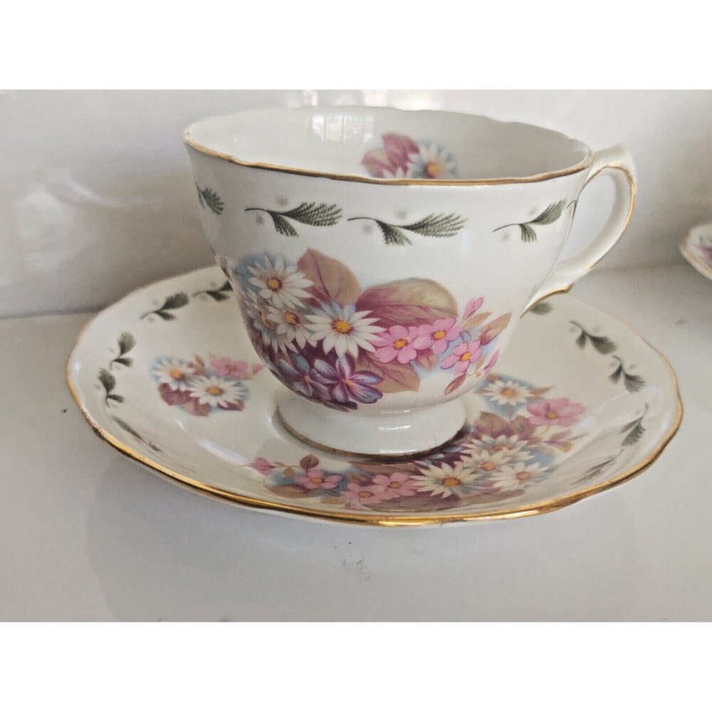 Colclough Bone China Tea Cup & Saucer (8238) Daisies - 1950's